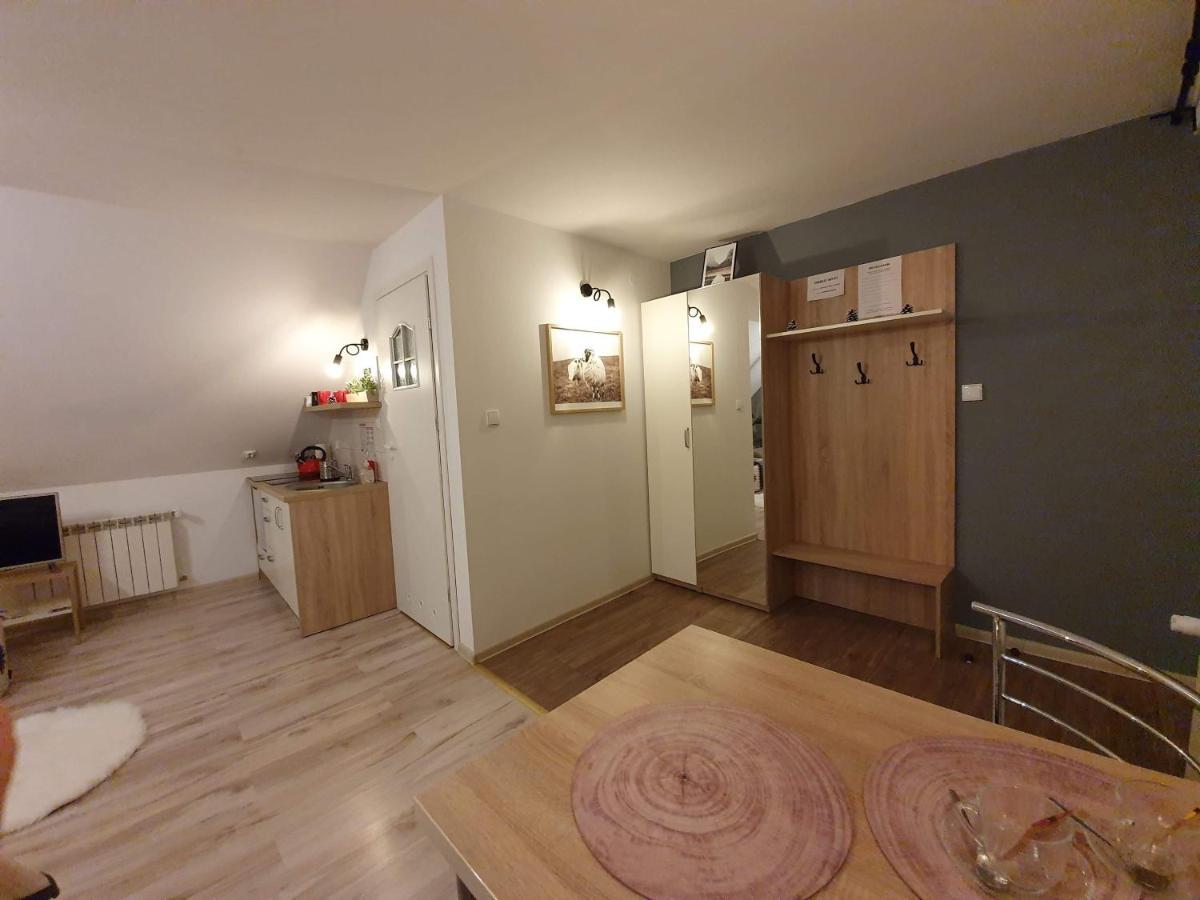 Apartament Jaskier Zakopane Bagian luar foto